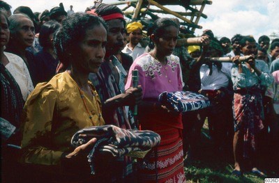 Women presenting folded ikat cloths