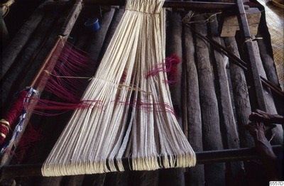 Bound warp bundle