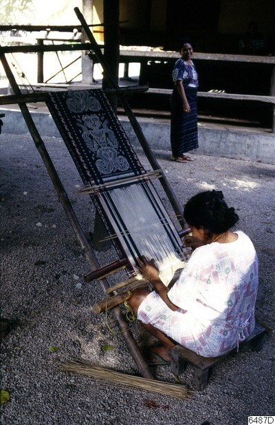 Weaving a curvilinear ikat