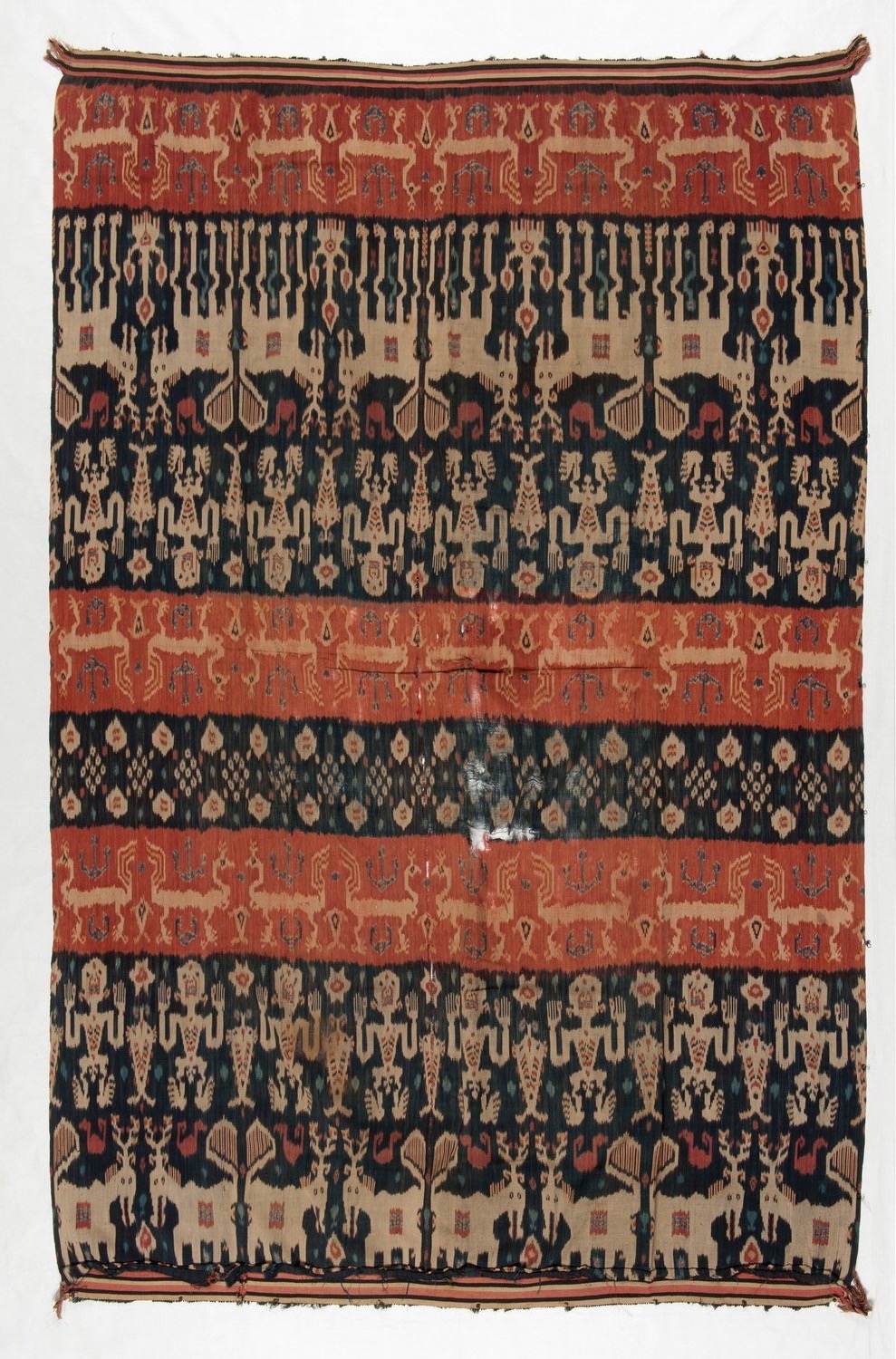 Cloth